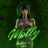 Molly2.cc Support