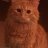 Cattt