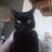 cat_manson