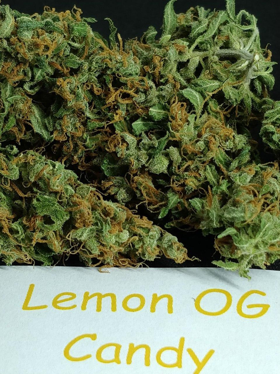 Lemon OG